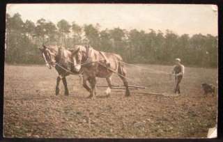 Man Plows Field 2 Draft Horses Dog Behind Printed Britain Early 1900s 