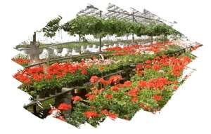 Quality Windows Software for all of your commercial nursery, home 