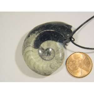   Fossil Specimen Pendant Necklace Jewelry Lapidary 