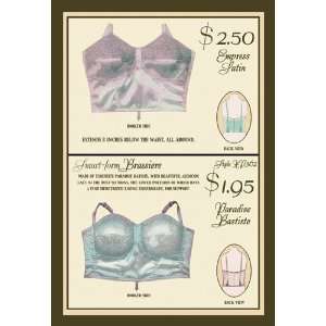  Empress Satin and Paradise Batiste Brassieres 28X42 Canvas 