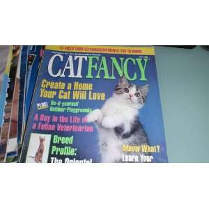   CREATE A HOME YOUR CAT WILL LOVE / MEOW WHAT? LEARN YOUR CATS LINGO