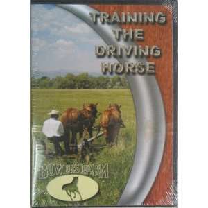  Training the Driving Horse 