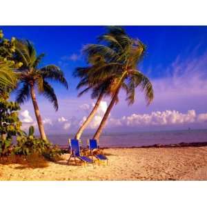 Palm Trees and Beach Chairs, Florida Keys, Florida, USA Photographic 