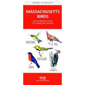   Waterford Press WFP1583551523 Massachusetts Birds Book