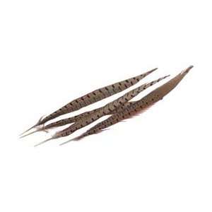  Midwest Design Ringneck Pheasant Feathers 12 14 4/Pkg 