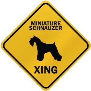  ONLY  MINIATURE SCHNAUZER XING  CROSSING SIGN DOG 