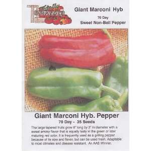   Giant Marconi Hybrid Pepper   35 Seeds   Sweet Patio, Lawn & Garden