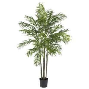  6 Areca Palm Silk Tree