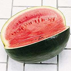 RARE*GIANT BLACK AFRICAN WATERMELON 10 SEEDS* #1168  