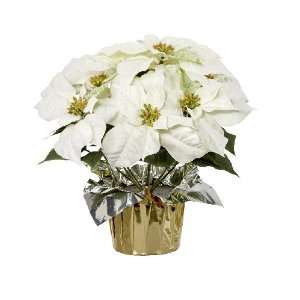  Holiday Inspirations 16 Inch White Potted Poinsettia